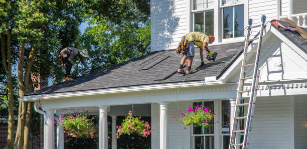 Best Roof Gutter Cleaning  in Seven Points, TX