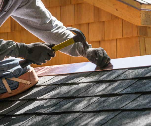 Best Roof Gutter Cleaning  in Seven Points, TX